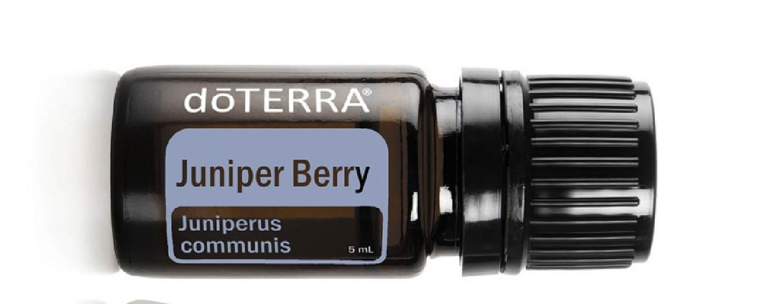 December 2024 Product of the Month - Juniper Berry