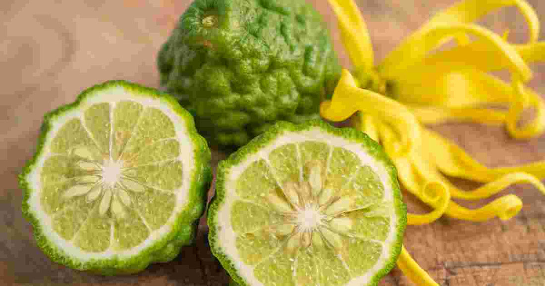 Unveiling 7 Benefits of Bergamot Essential Oil