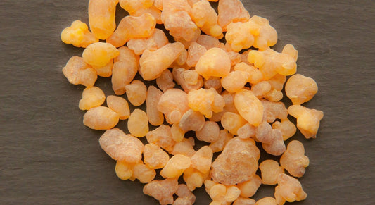 Spotlight On: Frankincense