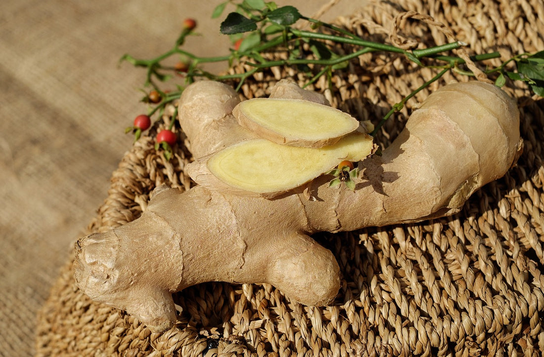 Spotlight On: doTERRA Ginger Essential Oil