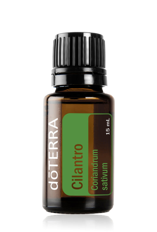 Cilantro 15ml